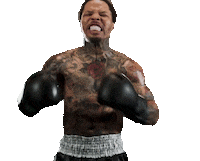 Gervonta Davis Sport Sticker by SHOWTIME Sports