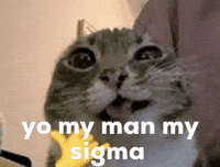 alurchap yo my man my sigma GIF