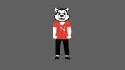 Nuexperience GIF by Northeastern University