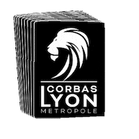 Velo Sticker by Corbas Lyon Metropole