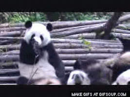 sneezing GIF