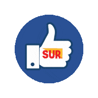 Logo Me Gusta Sticker by Grupo Sur Nicaragua