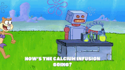 episode 1 GIF by SpongeBob SquarePants