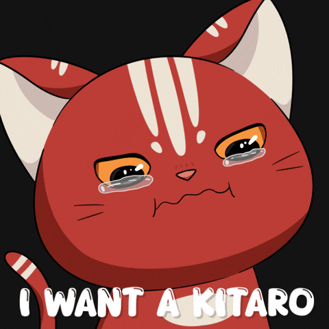 Cat Love GIF by Kitaro World