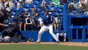 Home Run Mlb GIF by Toronto Blue Jays