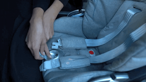 deeaibacka giphyupload baby safety seatbelt GIF