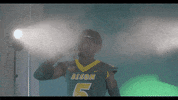 North Dakota State Bison GIF by NDSU Athletics