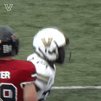 Happy Football GIF by Vanderbilt Athletics