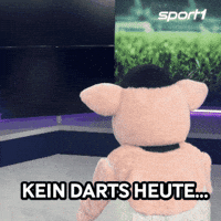 Pig Pause GIF by SPORT1