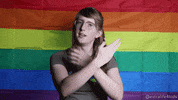 CMNHospitals pride lgbt video games streamer GIF