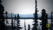 GIF by National Geographic Channel