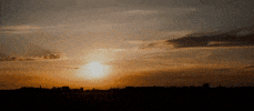 Back And Forth Art GIF by Luc Schraauwers