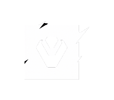 Vct Sen Sticker by VALORANT