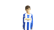 Blauwwit Sticker by Voetbalvereniging Scherpenzeel