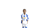 Blauwwit Sticker by Voetbalvereniging Scherpenzeel