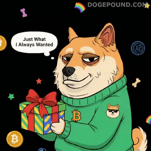 Shiba Inu Eye Roll GIF by Doge Pound