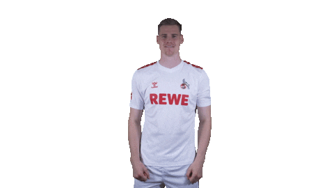1 Fc Cologne Football Sticker by 1. FC Köln