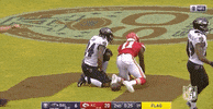 Regular Season Football GIF by NFL