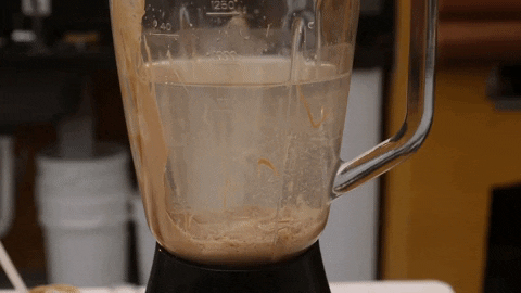 yamunaartesanal giphygifmaker liquidificador leite vegetal castanha de caju GIF