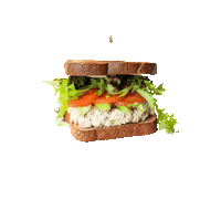 YampaSandwichCo yampa yampa sandwich co yampa sandwich company yampa sandwich Sticker
