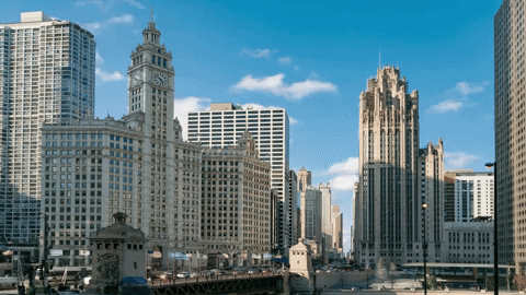 BaeBees giphyupload travel usa chicago GIF