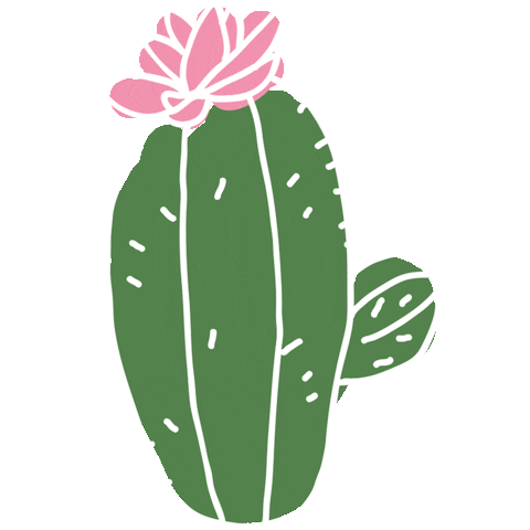 Cactus Love Sticker