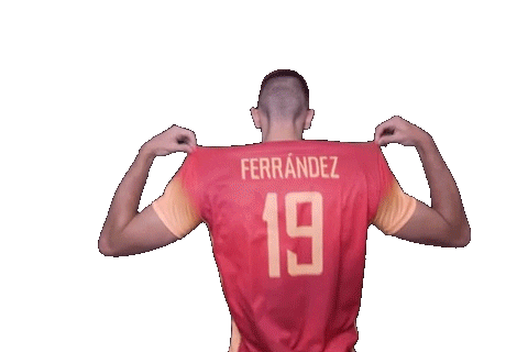 Volleyball Emilio Ferrandez Sticker by RedLynxes