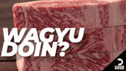 TheGoodRanchers beef steak what are you doing wagyu GIF