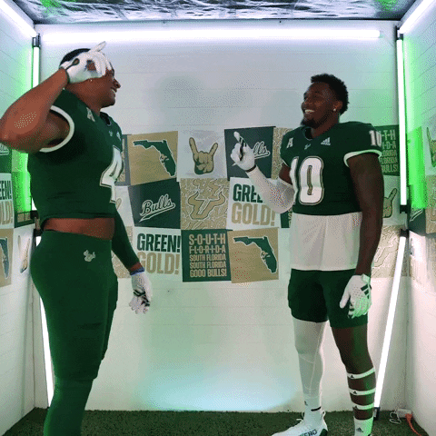 Ncaa Football GIF by USF Athletics