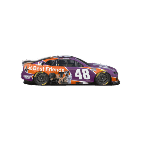 Driving Alex Bowman Sticker by Best Friends Animal Society