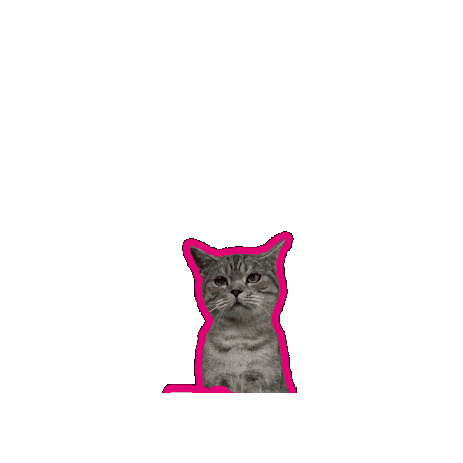Cat Sticker by Deutsche Telekom