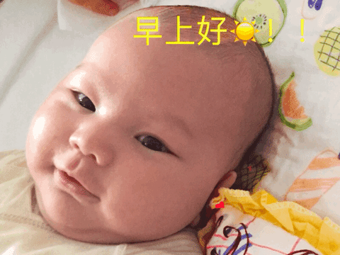 good morning leo GIF