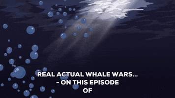 whale wars episode GIF by South Park 