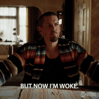 season 8 showtime GIF by Shameless