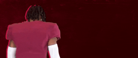 Football Roll Pards GIF by Lafayette Leopards