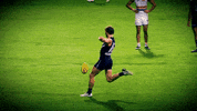 freodockers fremantle dockers freo fremantle dockers GIF