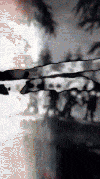 Zombies Cod GIF by Youtooz