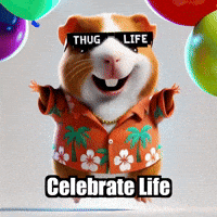 Happy Celebration GIF by Guinea Gambino