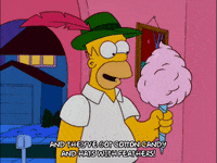 homer simpson GIF