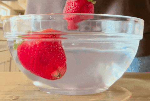 GIF by Gilbert, Arizona