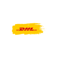 DHL_Brasil brasil delivery express presente Sticker