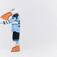 Dance Fun GIF by Pelicans Lahti