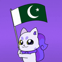 Flag Cricket GIF by Lucky Kat Studios