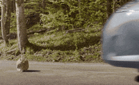 car rabbit GIF by Midas France