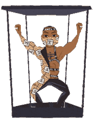 Bolo Male Stripper Sticker