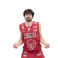 Basketball Lnp Sticker by Use Basket