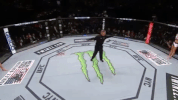 ufc 205 GIF