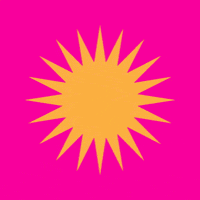 Sol Raquel GIF by Debron Bier