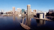 Maryland GIF by 50statesproject
