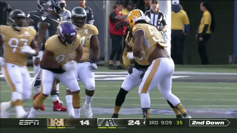 GIF by Minnesota Vikings